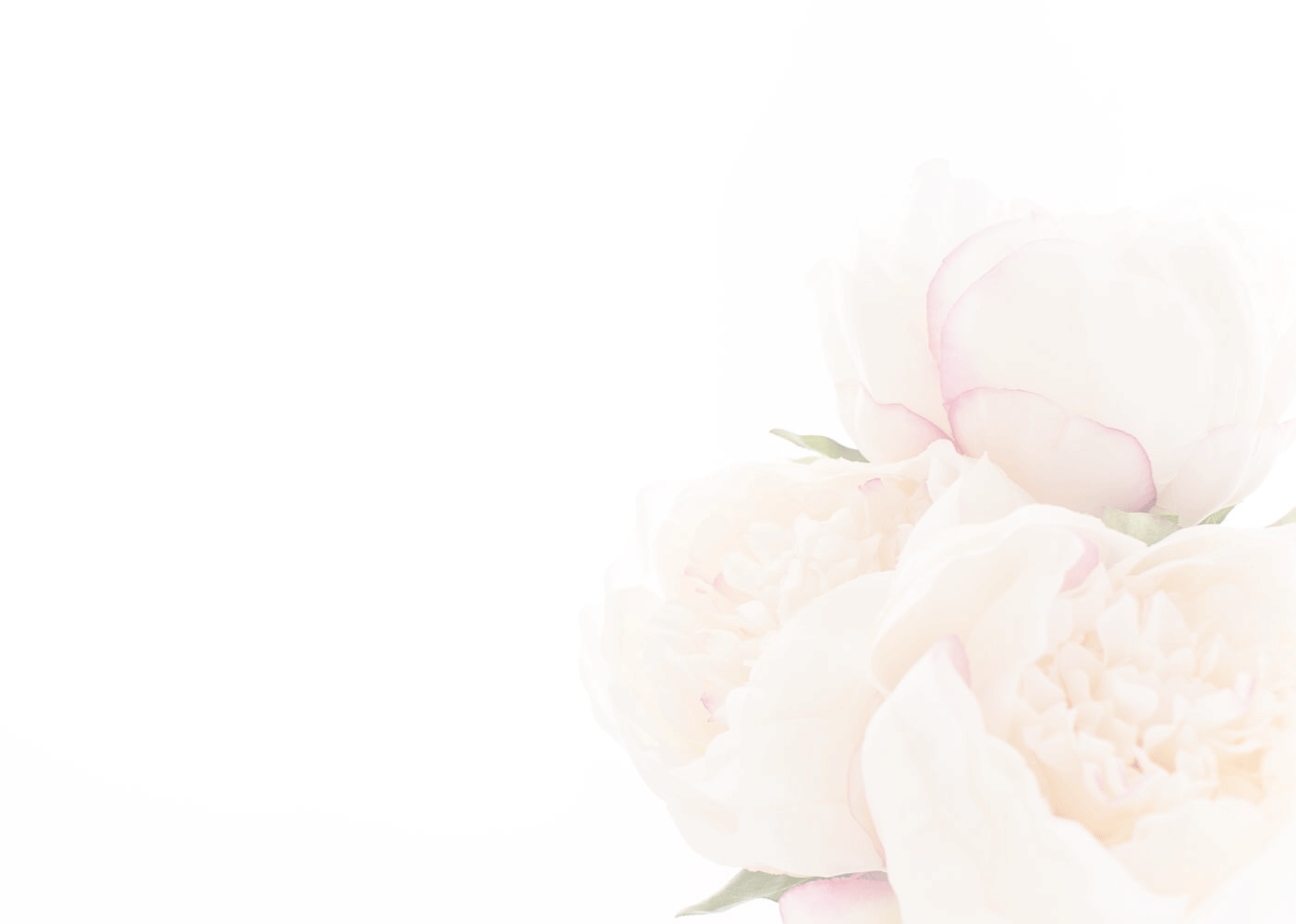 White flower background